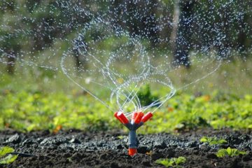 Irrigation Management & Installation