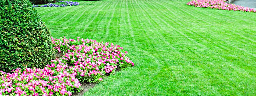 Your lawn and landscape
the way that it should be